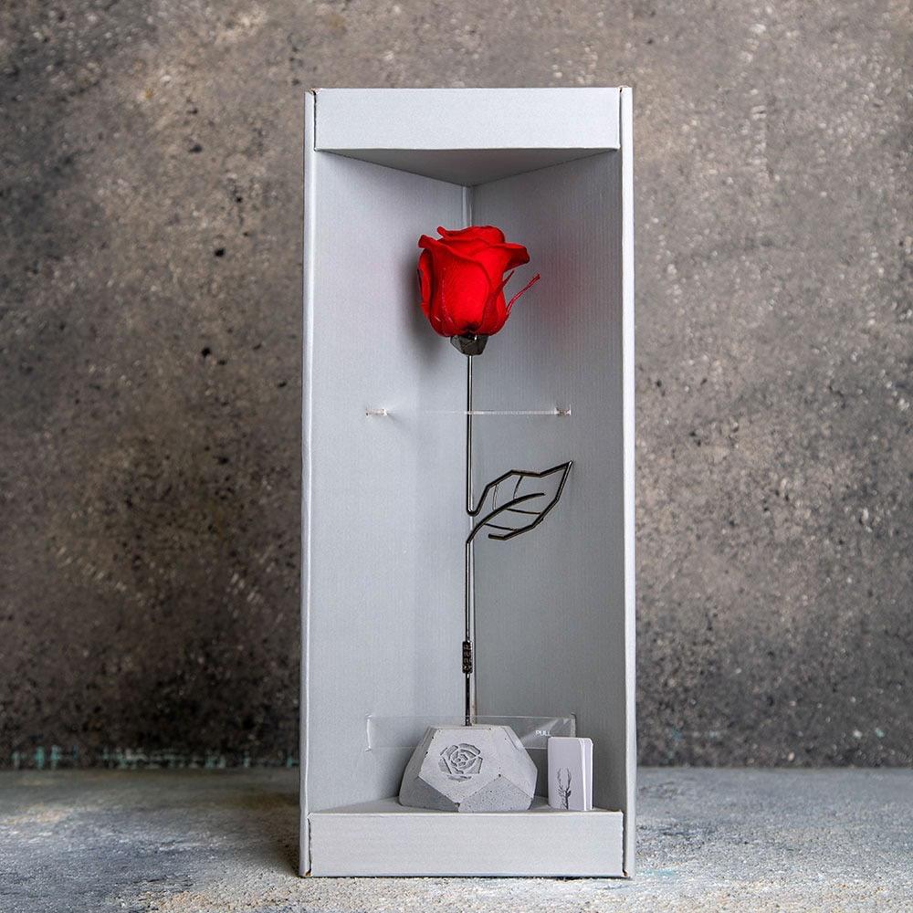 eternal rose گل رز جاودان