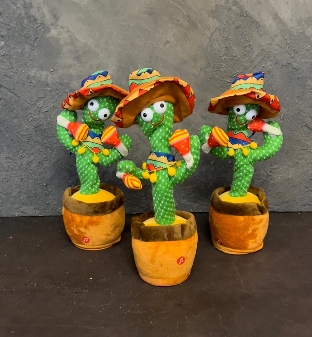 کاکتوس سخنگو Talking cactus