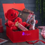 کادو‌ ولنتاین مدل دادمهر